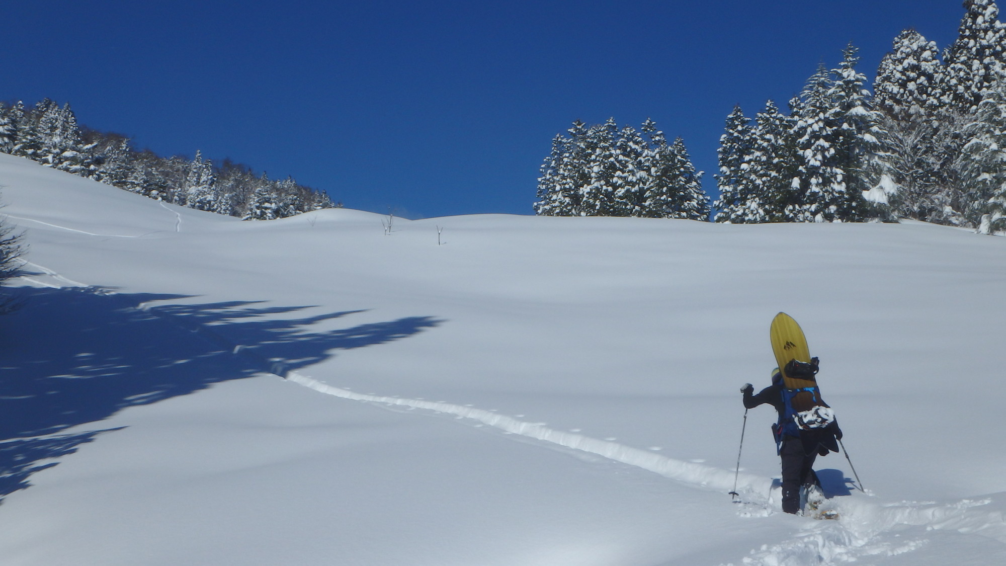 【海外限定】SNOMAD 45 バックカントリー 冬季登山